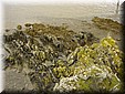 Irland